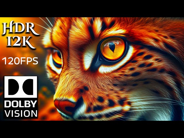 12K HDR 120FPS Paradise of Majestic Animals Beauty with Calming Music