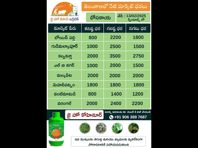 Cucumber & Drumstick Market Rates Telangana @JaiHoKisan​