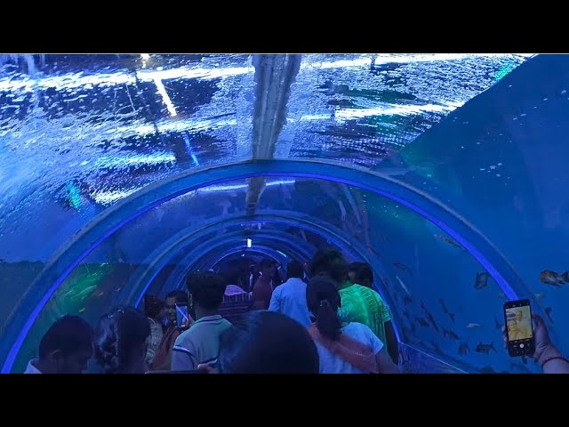 #India's Largest #Tunnel aquarium #trending#viral at Nanded