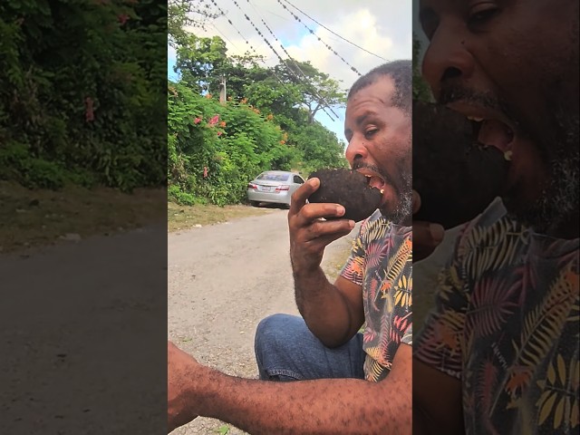 It's a breadfruit moment #food #funnyvideo #eating