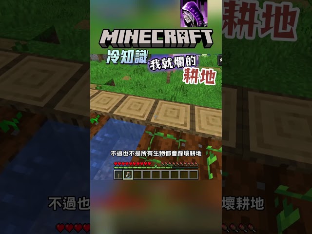 一不小心就踏爛的耕地 麥塊冷知識 #minecraft #我的世界