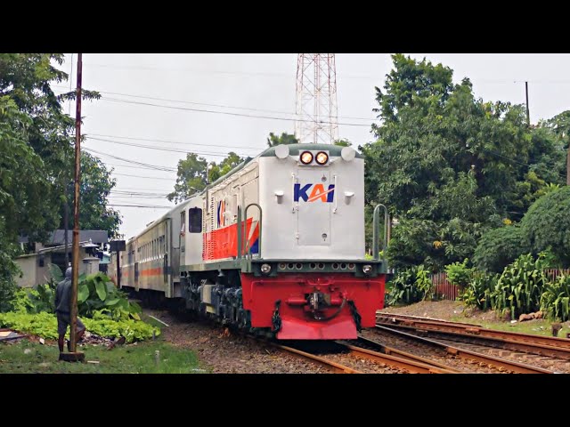 CC 201 83 20 PWT feat KA LOGAWA | Purwokerto - Jember Berangkat Stasiun Surabaya Gubeng