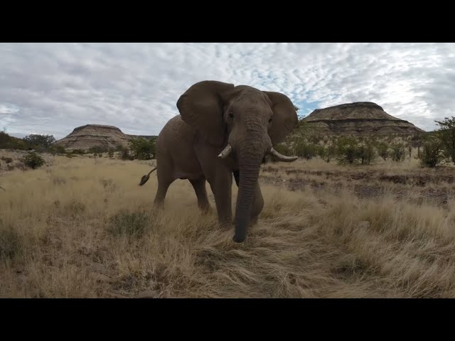 SkyTrip Namibia