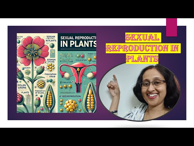 Sexual reproduction in plants I Grade 7 I CBSE I Pollination I Fertilization I Seed Dispersal