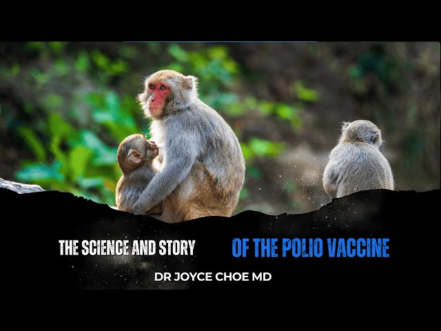 How Good is the Science - The Polio Vaccine