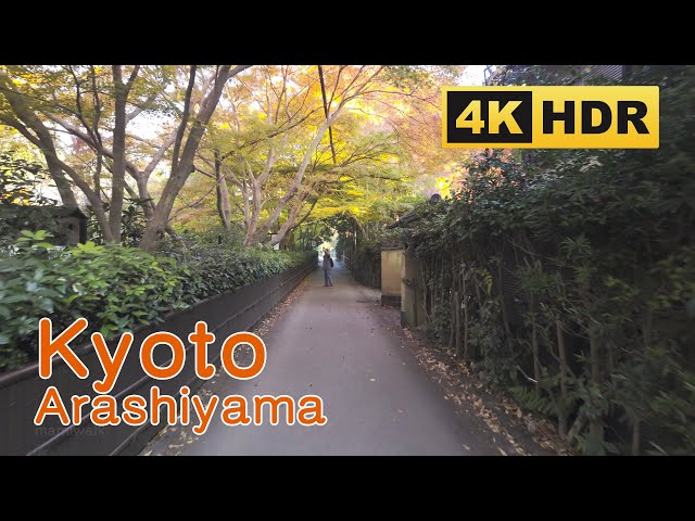 [4K HDR] Kyoto/Arashiyama Autumn Leaves Walk 2024