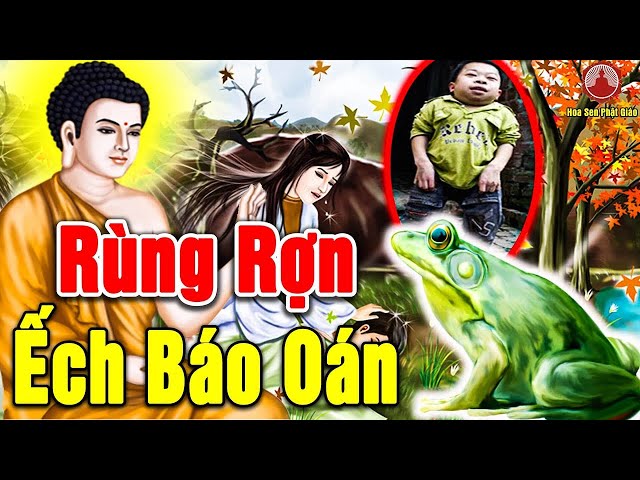 NGHIỆP CŨ Chưa Trừ Lại Gây Thêm Nghiệp Mới - Truyện Nhân Quả ĂN ẾCH BỊ BÁO OÁN