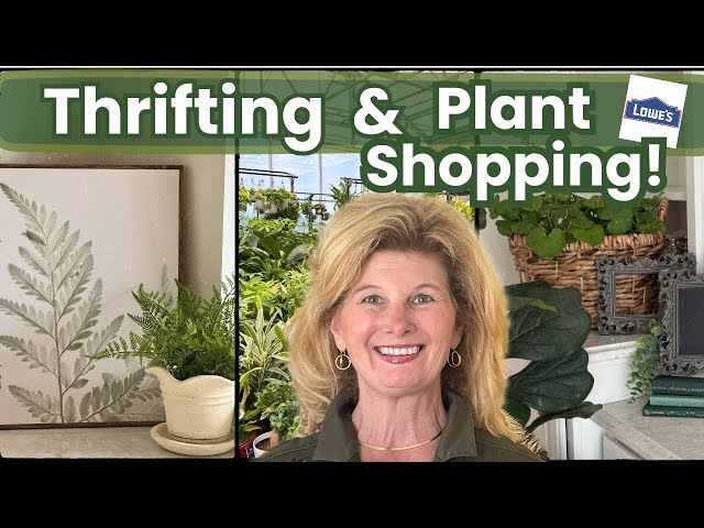 Thrift with me (TERRIFIC Thrift Finds) and NEW Plants at LOWES!