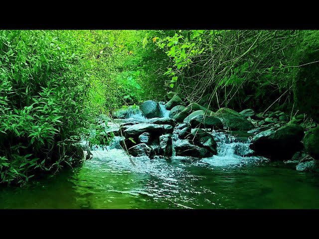 Waterfall Gentle Stream Sound in forest Waterfall Sounds Flowing Water White Noise for Sleep