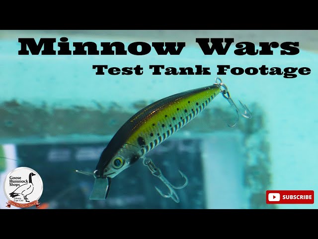 Which Minnow is the BEST?!? (UNDERWATER FOOTAGE)