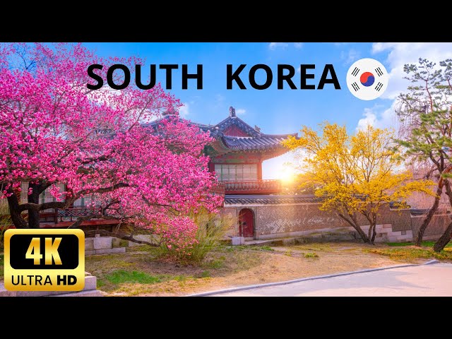 Amazing South Korea 4k 120 fps