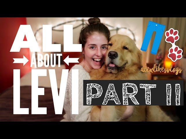 about my service dog's tasks (aka ALL ABOUT LEVI pt. II) VLOGMAS #13 alexlikesvlogs