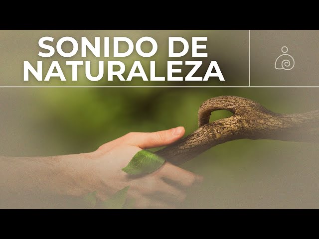 🌿Sonido De Naturaleza Instrumental 2024 / Libera El Estrés Y la Ansiedad /🌿