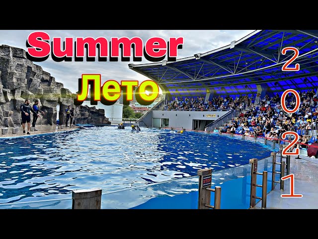 ⁴ᴷ⁶⁰Дельфинарий Акватория Батуми лето 2021🐋 vs 🦈Dolphinarium Batumi dolphin show summer 2021