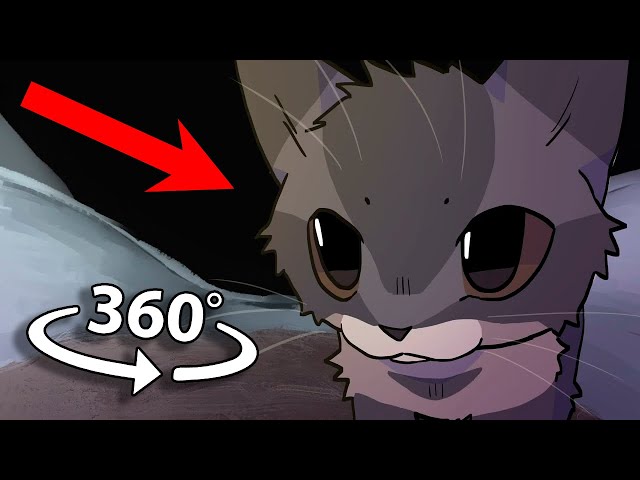 chipi chipi chapa chapa Cat Finding Challenge 360º VR Video