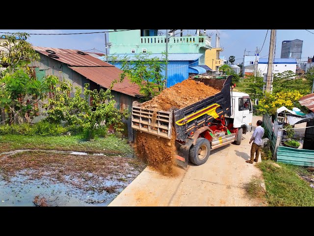 First Best New Project Landfill Flooded Remove Pond !!! Bulldozer Push Soil ,Truck 5-Ton Spread Soil