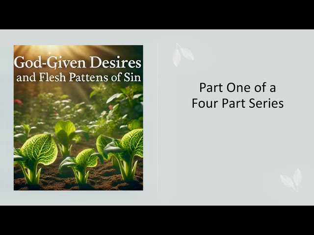 God-Given Desires and Flesh Patterns of Sin | Christian Living and Desires