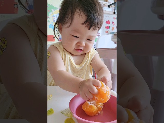 괜찮아..  귤즙내는 아기  #shorts #cutebaby #koreanbaby