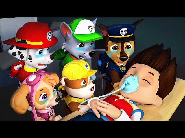 Paw Patrol Ultimate Rescue || RYEDR FUNERAL! - Ryder please don't leave | Rainbow