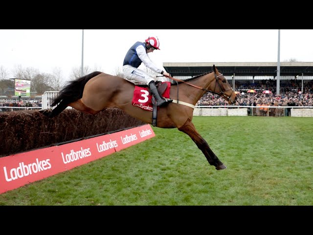 THE JUKEBOX MAN stamps class in Kauto Star for Harry Redknapp