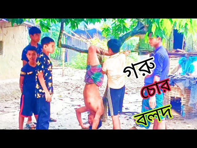 গরু চোর বলদ অস্তির ভিডিও না দেখলে অনেক মিস করবেন।