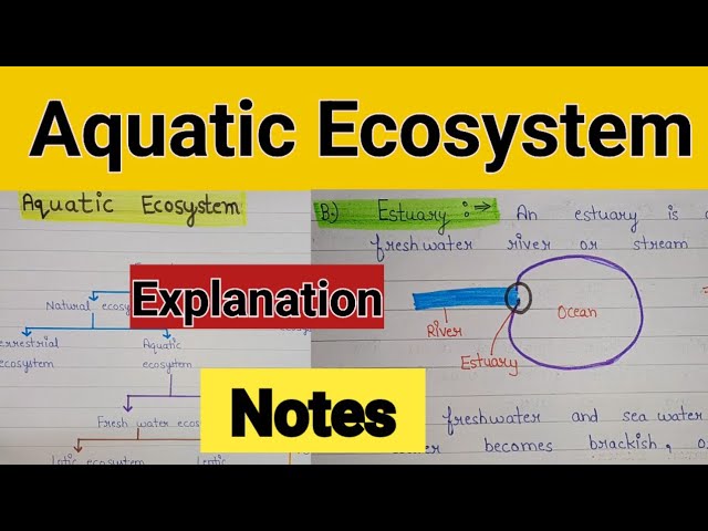 Aquatic ecosystem in environment education | Aquatic ecosystem in evs | Aquatic ecosystem notes