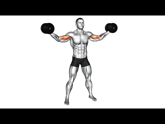 Ultimate Dumbbell Bicep Workout – Bigger Arms at Home!