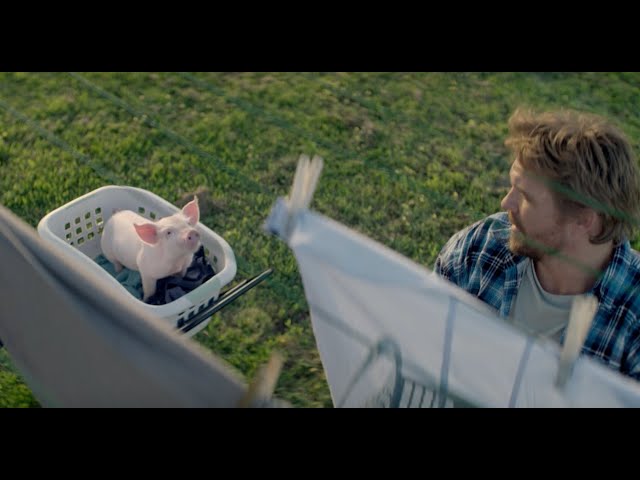 Be Their Hero: Cute Pig TV Commercial - Part 3