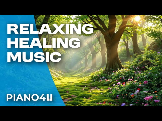 🧘‍♂️ Healing & Relaxing Music for Stress & Anxiety | 8 Hours of Peaceful Vibes 🌸