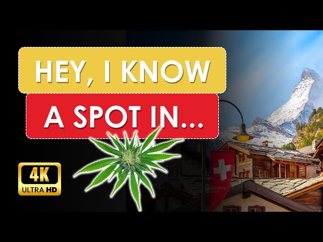 Cannabis in Switzerland | 420 Travel Guides | 4K UHD