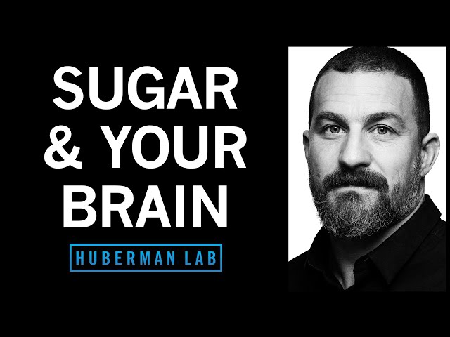 Controlling Sugar Cravings & Metabolism with Science-Based Tools | Huberman Lab Podcast #64