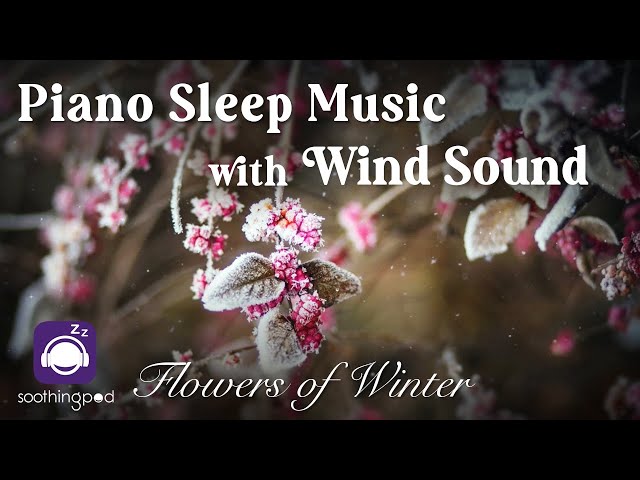 White Winter Piano | ☃️ Flowers of Winter 🌨 | Relaxing Sleep Piano Music with Winter Wind Sounds