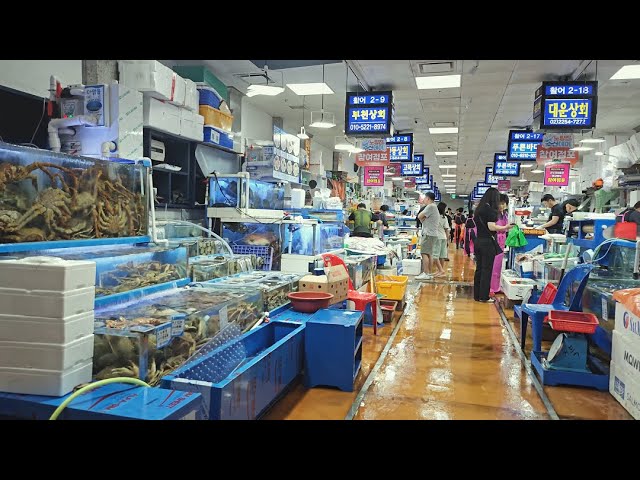 Chuseok in Seoul_Day1 ㅣ Exploring Noryangjin Fish Market with Family