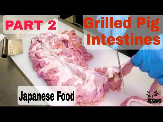 Grilled pig intestines Japanese streetfood PART 2 | RANDOM VIRAL VIDEO