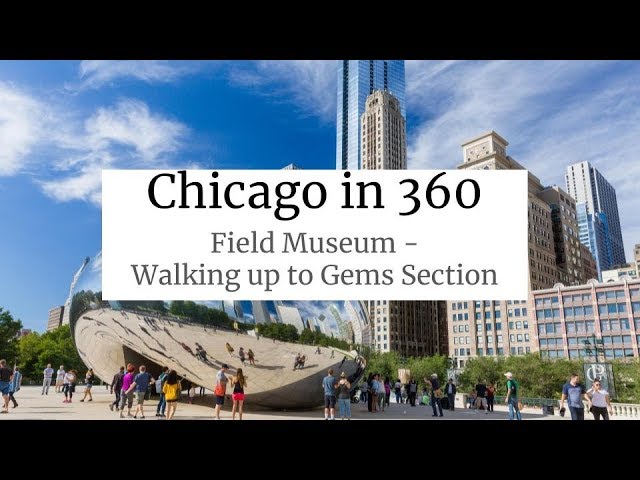 Chicago in 360 - Field Museum (Gems section)