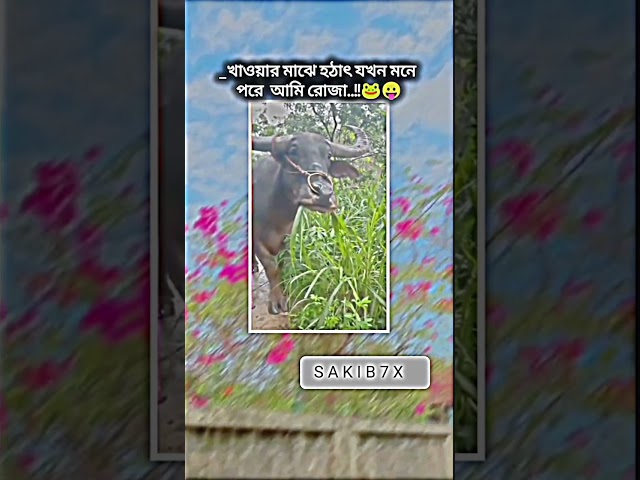 😁😁😁😁 #lyrics #love #song #aesthetic #music #lofi #bollywoodduets #কcomedy #funny