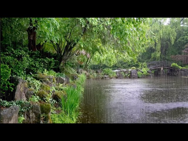 Rain Sounds on the Lake Soothe the Mind - 10 Hours of Sleep-Inducing White Noise