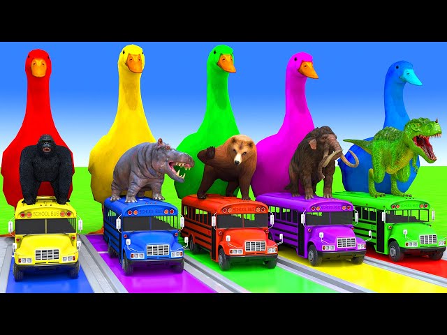 5 Giant Duck Cartoon,Cow,Elephant,Tiger,Lion,Dinosaur,Paint Wild Animals Crossing Fountain Animation