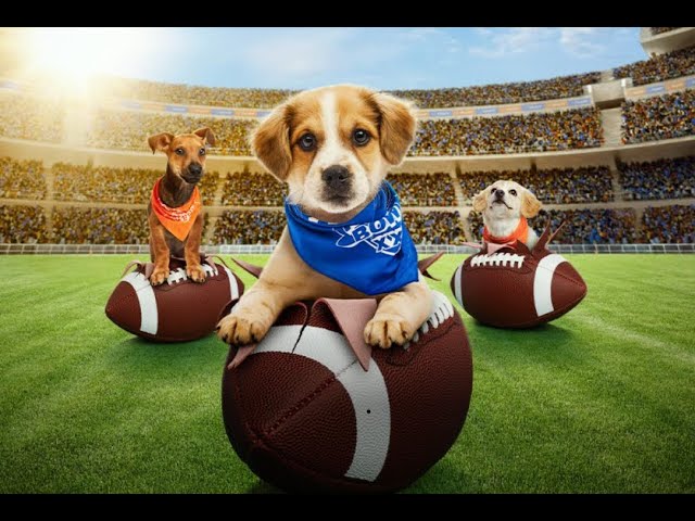 Live: Puppy Bowl 2025 Pre-Game: CUTEST thing Ever!