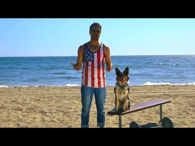 Weightlifting Dog Working It Out on the Beach   GQ's Fighting Weight Series