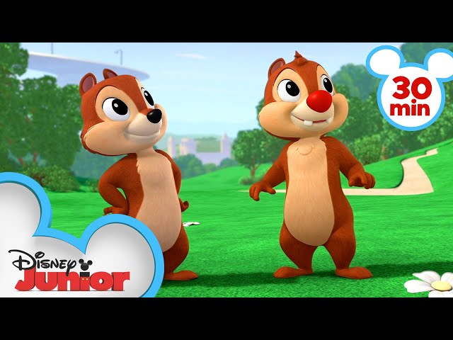 Chip 'N Dale's Nutty Tales 30 Minute Compilation | Mickey Mouse, Minnie Mouse & MORE | @disneyjr