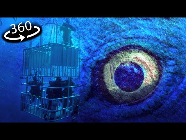 360° VR - TERRIFYING Sea Monsters | CAGE OCEAN HORROR