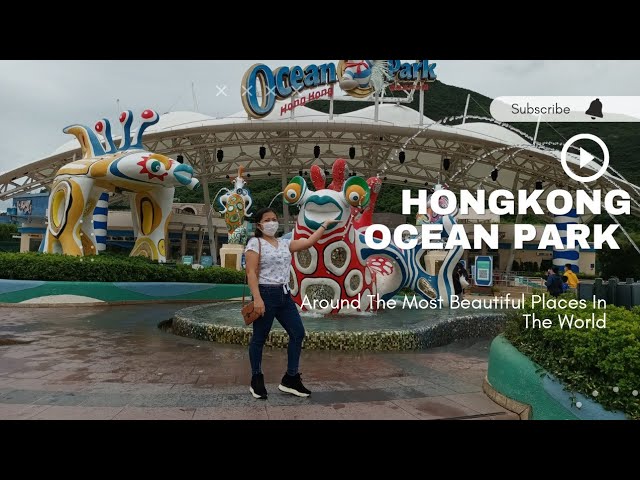 Hongkong Ocean Park #oceanparkhongkong