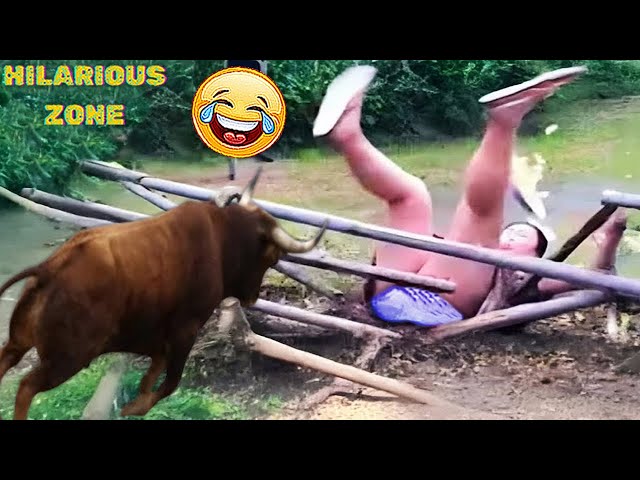 Funny & Hilarious People Life 😆 #114 | TRY NOT TO LAUGH 😂😁😆 | Instant Regret Fails Compilation 2025