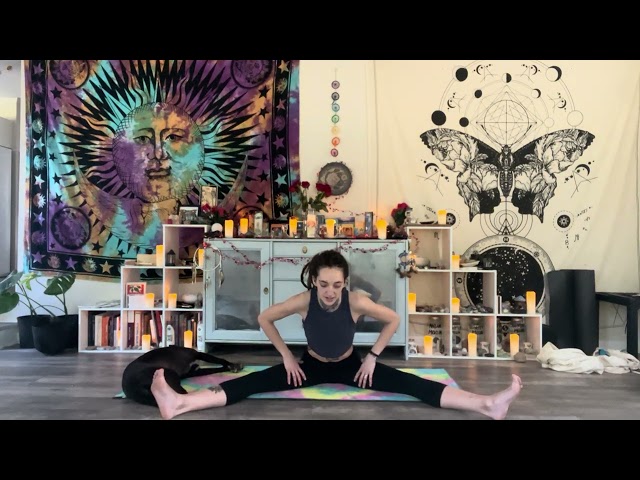 New Moon Yoga Flow | Somatic Practice to Align, Detox & Connect with Your Energy