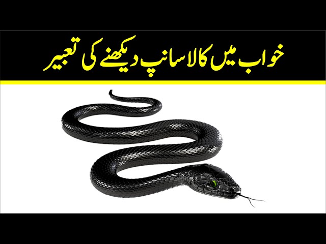 🐍Khwab mein Kala sanp dekhna tabeer | Black Snake in Dream | Khwabon ki Tabeer Episode 90