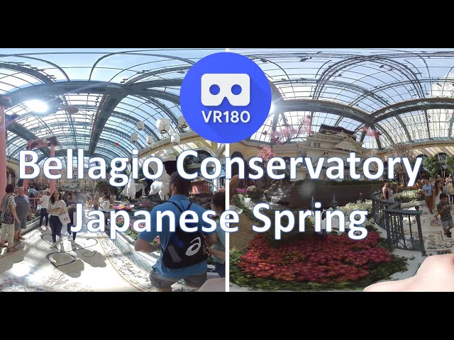 VR180 3D Bellagio Conservatory, Japanese Spring 2019