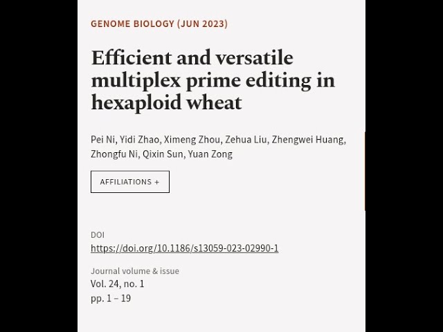 Efficient and versatile multiplex prime editing in hexaploid wheat | RTCL.TV