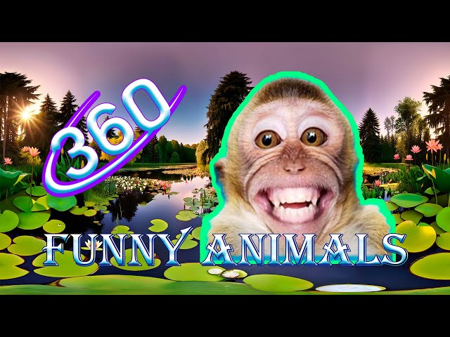 🎆360ºVR Hilarious Memenomaly: Funny Animals Edition