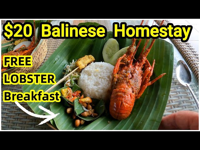 🦞I Found a $20 Balinese HOMESTAY with FREE Lobster Breakfast